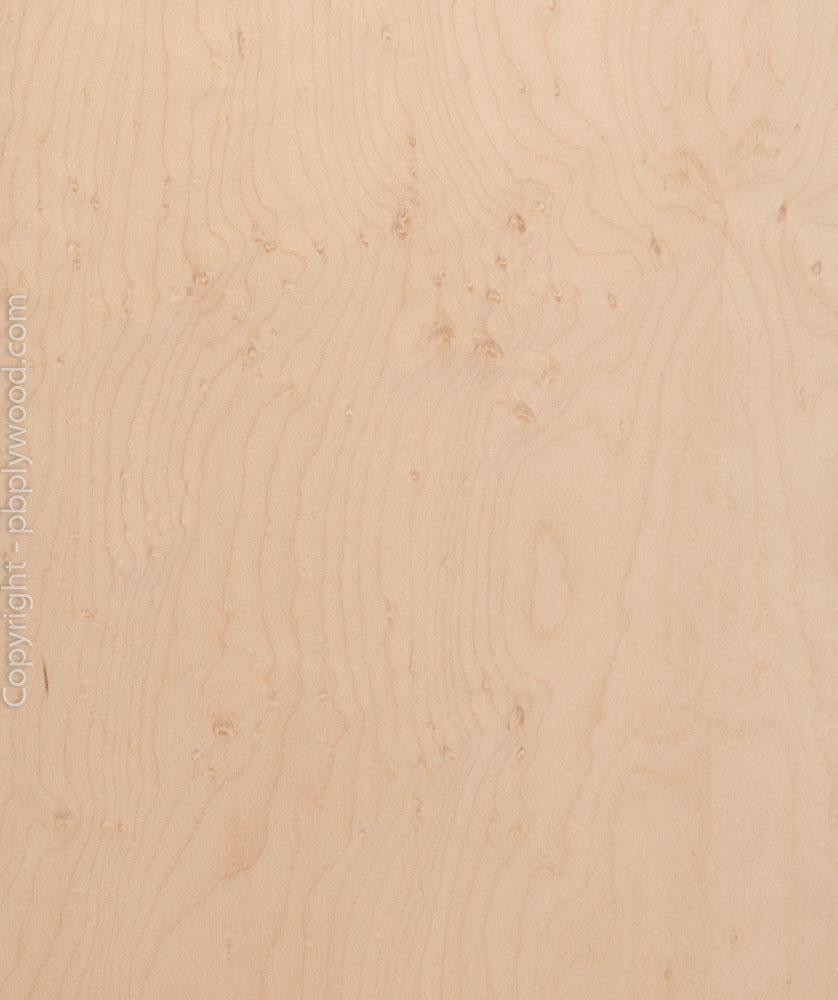 Birds Eye Maple Veneered Birch Plywood - Peter Benson Plywood Ltd